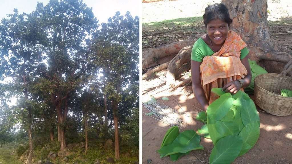 Koraput