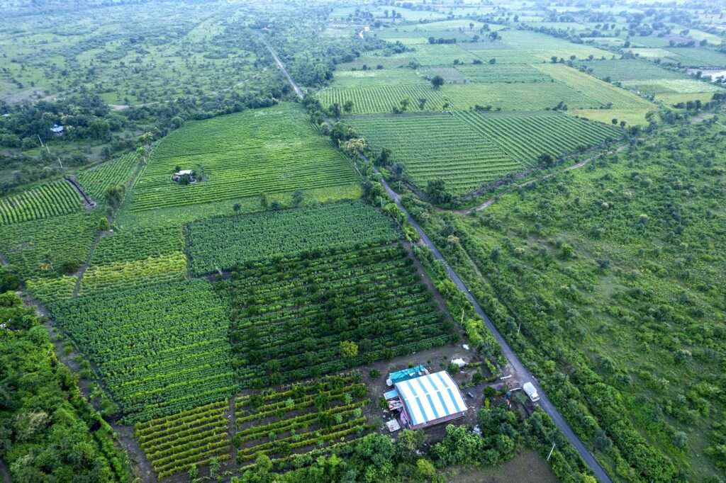 Aerial view of green agriculture field, India.