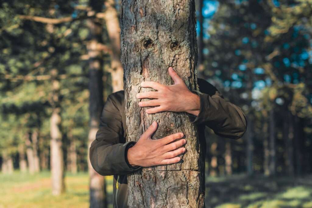 Conservation scientist hugging tree black pine tree in forest, love and dedication to environment