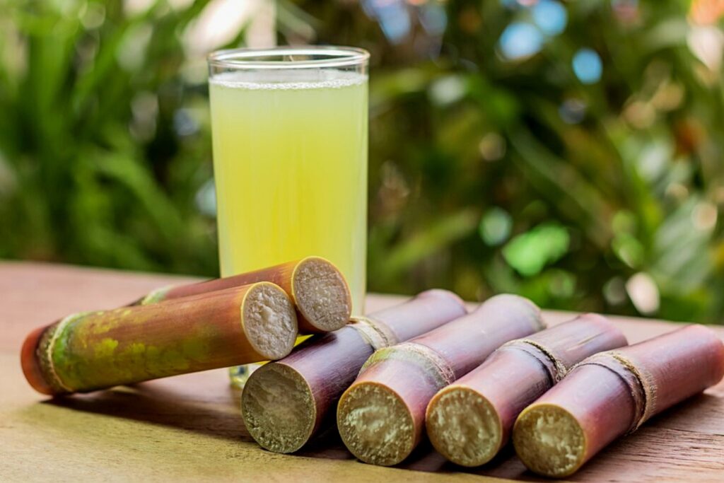 india-sugarcane