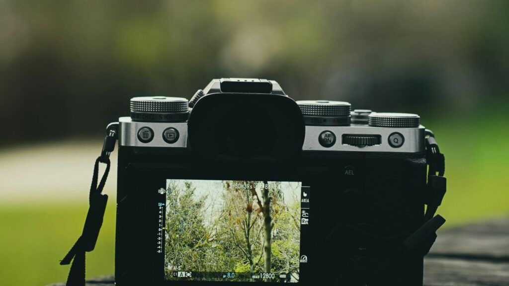 close-up of camera clicking nature