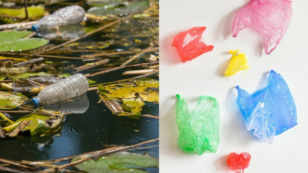 Plastic-Free