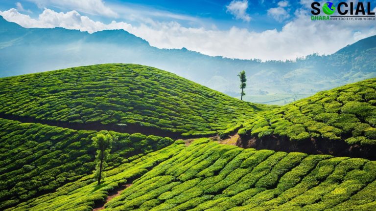 Wonders of Munnar You Did Not Know About