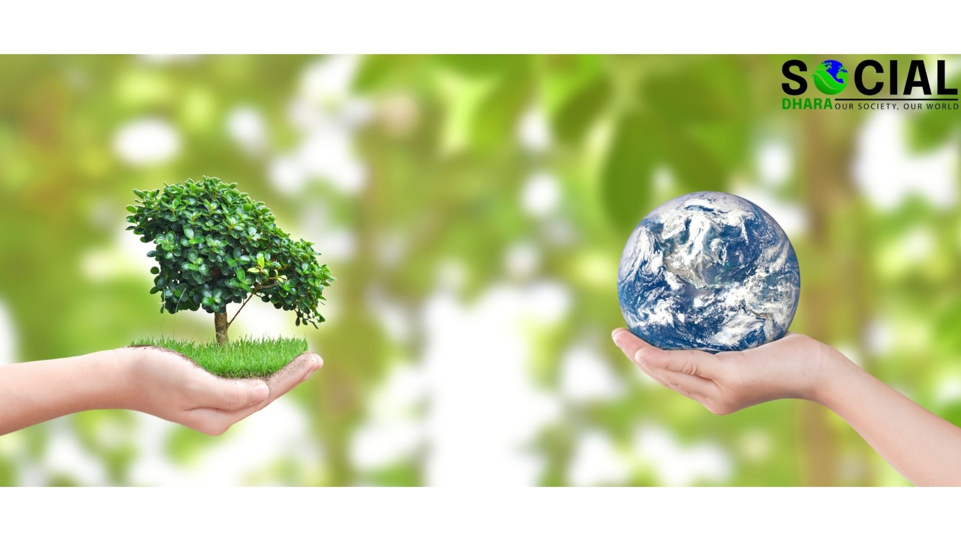 Importance of Environment to Human Life - SocialDhara