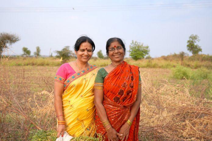Rural Indian women in the field.