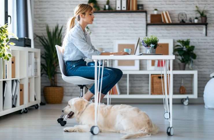 Attractive woman working with laptop while her cute dog keeping her company in living room at home.