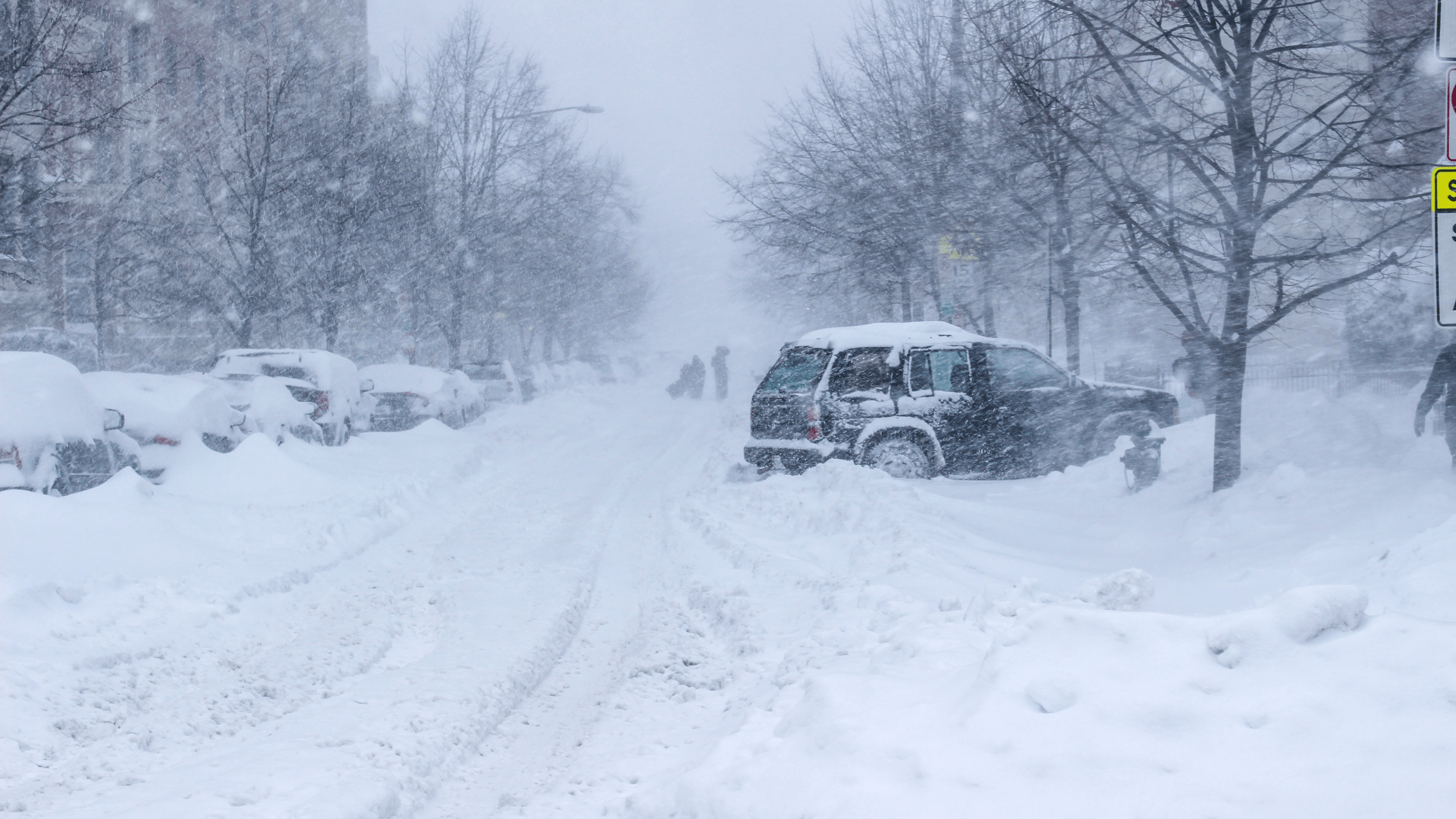 All About The “Blizzard Of The Century”: The Bomb Cyclone In The USA ...