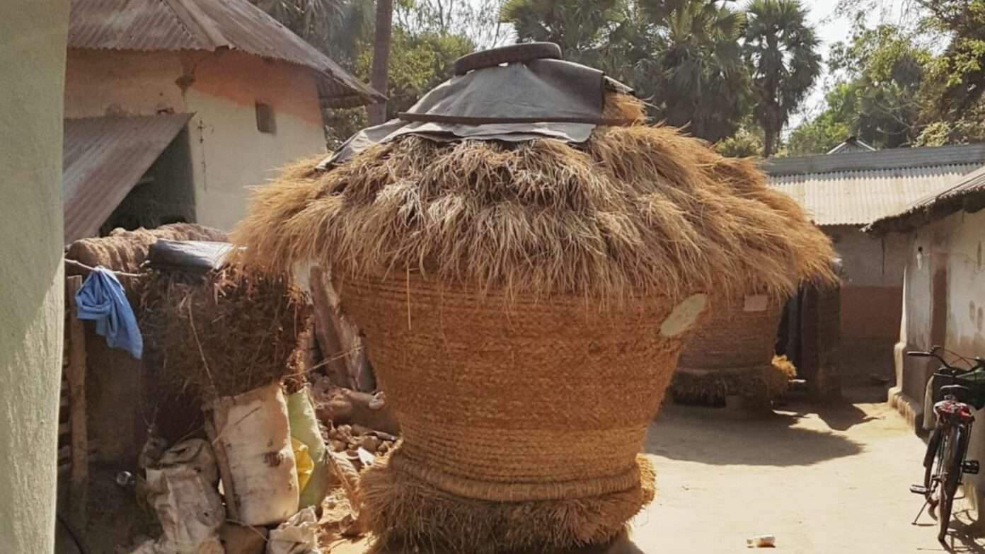 Safeguarding Traditional Seed Storage Systems For Sustainable ...