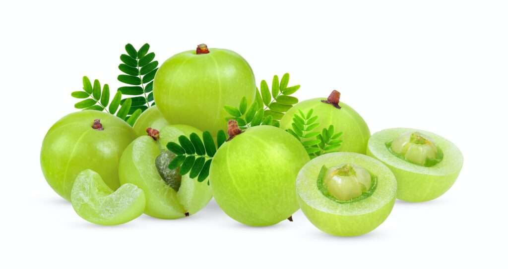 Indian gooseberry isolated on white background