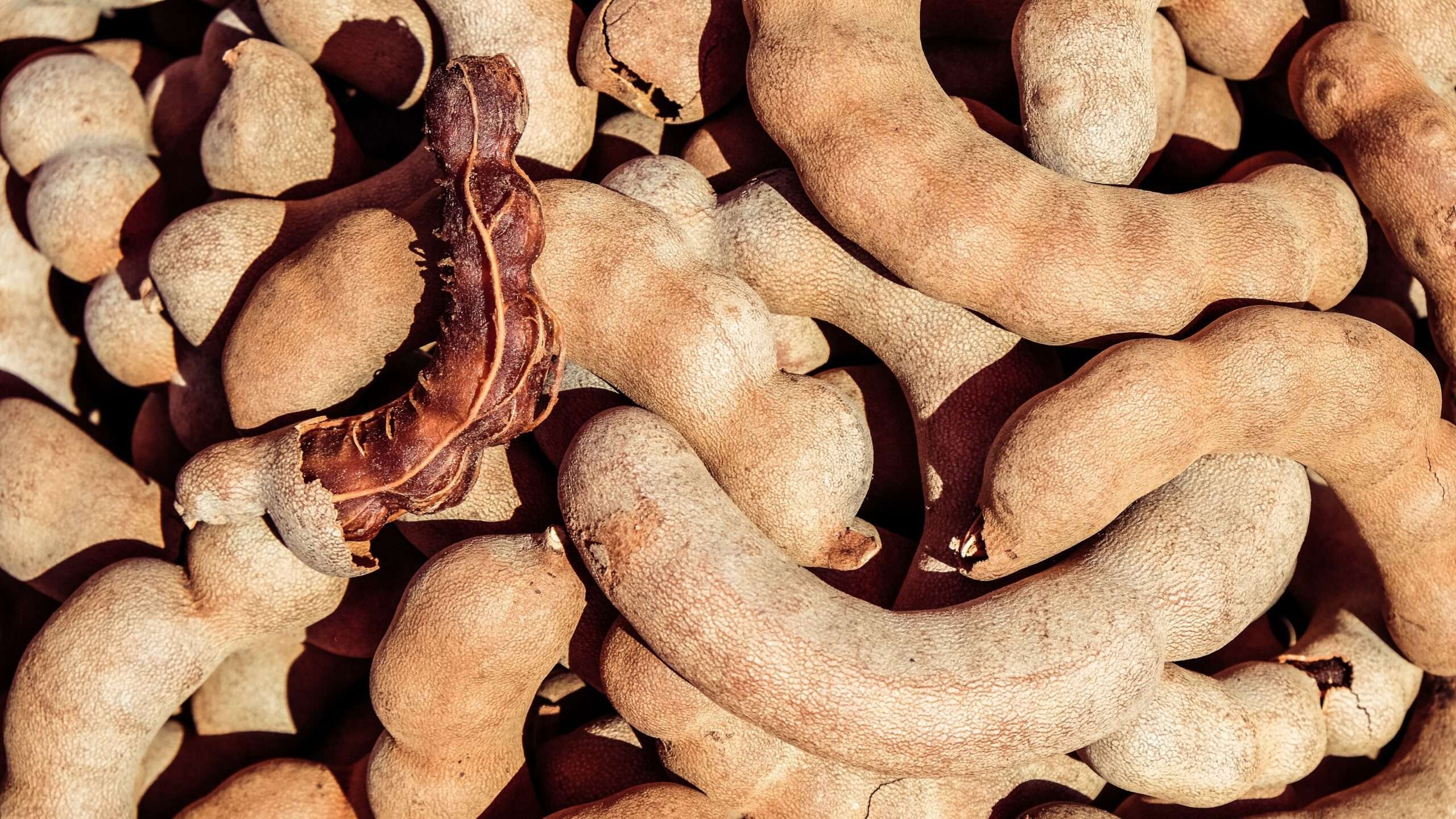 Tamarind fruit background