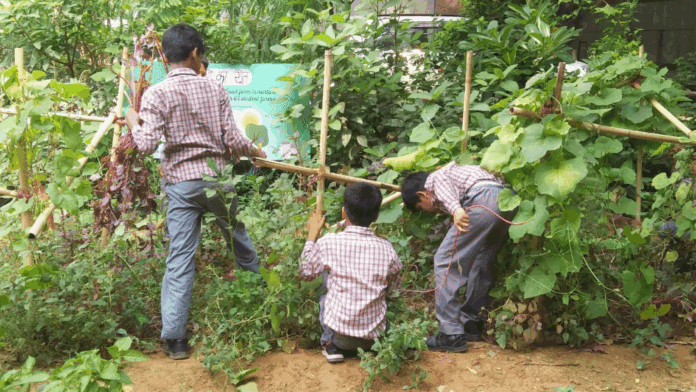 Children Working on Their Farm