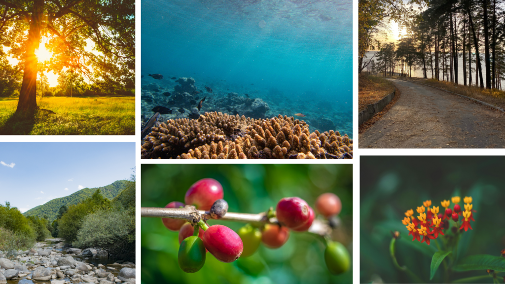 Nature Photography Day