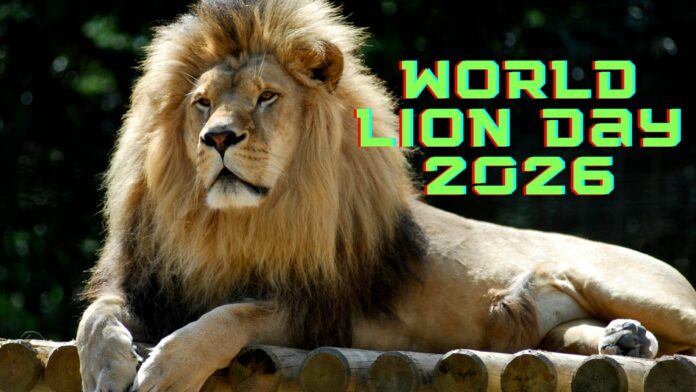 World Lion Day 2026